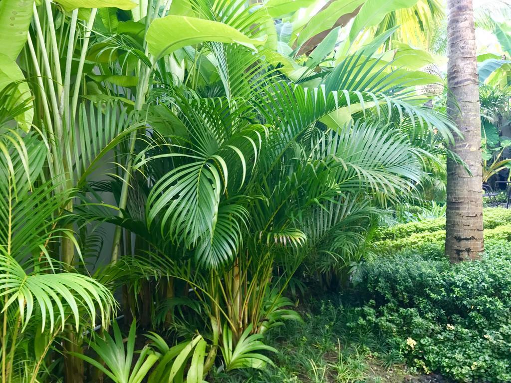 Hotel Mossca Mooi Ubud Exterior foto